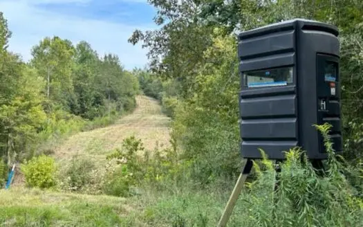 60 Acres For Sale In Yazoo County, MS