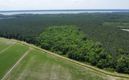 25 AC Timber & Hunting Tract Near Bath, NC – Secluded Gem