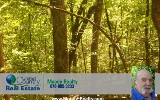 Sharp County Arkansas Acreage With Access To Martin’s Creek