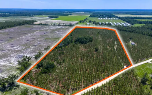 32 Acres for Sale in Madison County, Florida