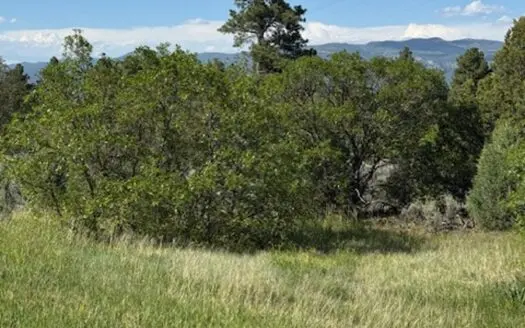 Northern NM Mountain Land for Sale Tierra Amarilla NM