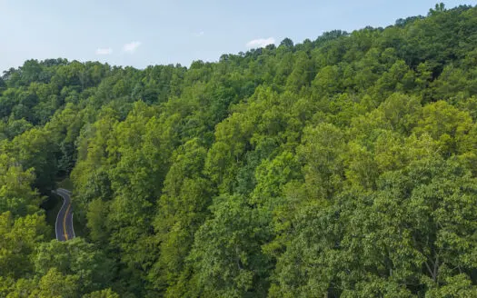 Wooded Land for Sale in Moravian Falls NC