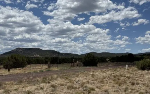 White Mountains of Arizona Land for Sale Near Show Low AZ