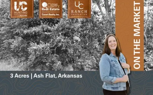 Lot for sale in Ash Flat, Arkansas