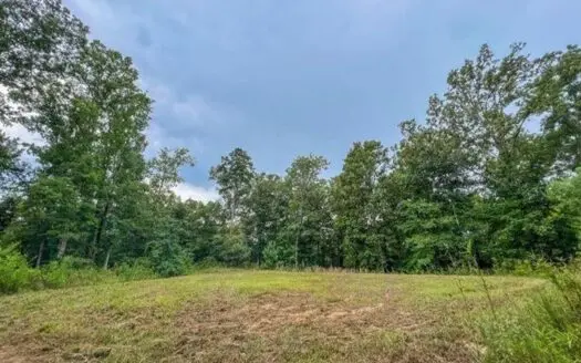30 Acres of Prime Hunting Property in Hinds County