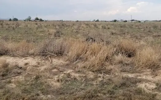 2 One-Acre Lots in McIntosh NM | Room to Build & Grow