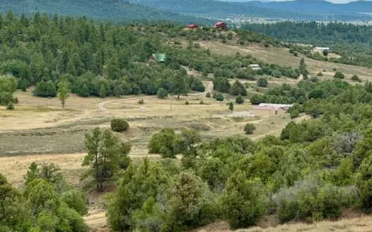 Northern NM Mountain Land For Sale Near Chama NM, Ponderosa S/D