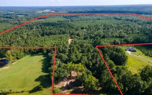 Reed Ranch – East Texas Hunting & Timber Property
