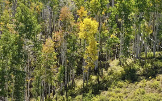 Colorado Ranch Property For Sale