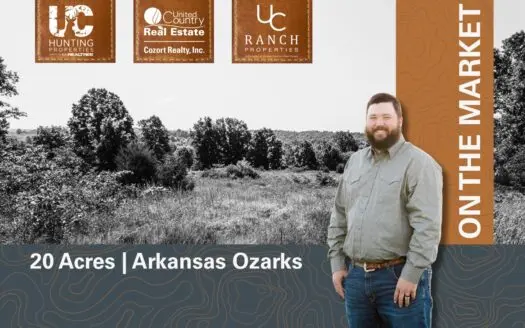 Land for sale in the Arkansas Ozarks