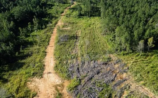 Gloster MS Hunting & Investment Land for Sale – 84 Acres