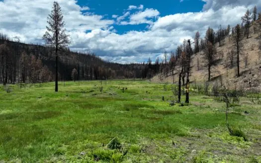 Eastern Oregon Recreational Yellowjacket Creek Property