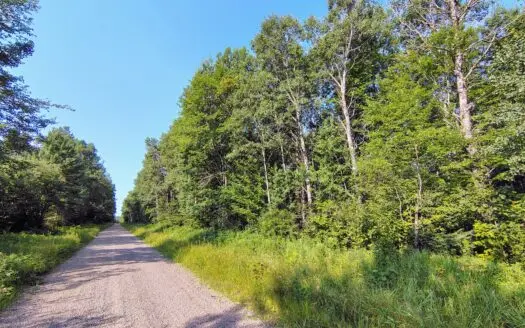 Land for Sale in Glidden, Wisconsin