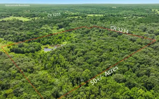East Texas Wood County Quitman 50 Acres 2 Homes Abundant Wildlife
