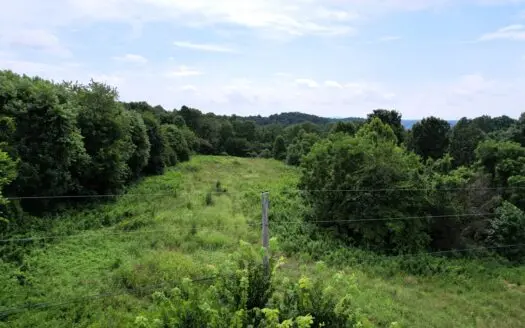 6.5+/- Acres Of Unrestricted Land-Bldg. Sites-Dunnville, Ky.