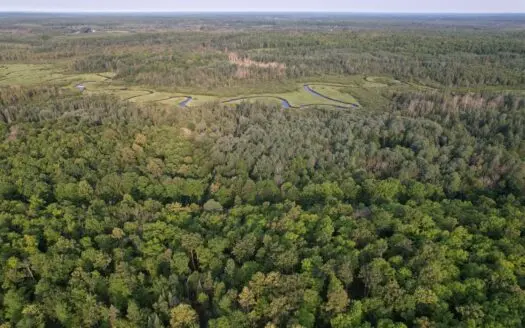 Acreage for Sale in Butternut, Wisconsin