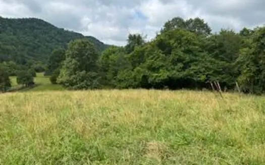 31.5 Surveyed Acres For Sale in Hancock County, Tennessee