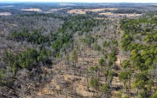 Land For Sale In North Central Arkansas