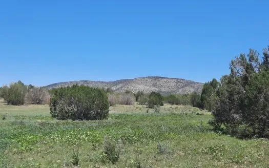 Beautiful Northern AZ off grid property