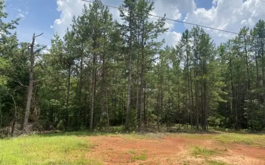 Land For Sale To Build On Near Savannah Tn With No Restrictions