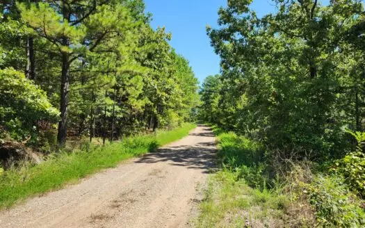 Cabin Site & Acreage – National Forest Area