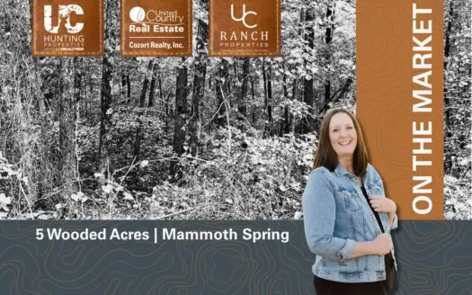 5 Acres of Wooded Acreage in Mammoth Spring Arkansas