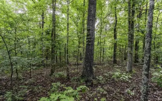 Fulton County, AR Acreage For Sale