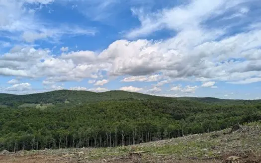 Land for Sale in Meadows of Dan VA