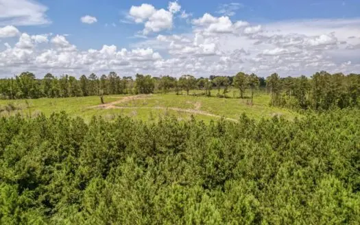 Land for Sale in Amite County, MS