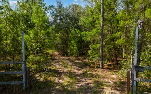 HUNTING and RECREATIONAL LAND FOR SALE in FLORIDA