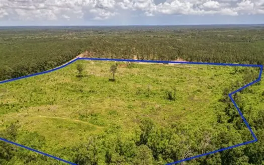 Land for Sale in Amite County, MS