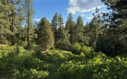 Mountain Land near Chama NM, Gated Access, Power and Shared Well