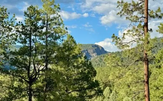 Chama NM Mountain Land for Sale, Acreage, Recreational Property
