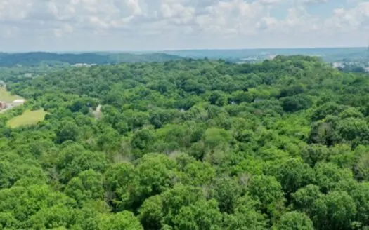 99.55+/- Acres For Sale In Fayetteville, Tennessee