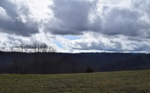 27.33 Acres with Clinch River Access in Eidson, Tennessee