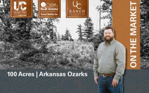 Secluded Acreage for sale in the Arkansas Ozarks