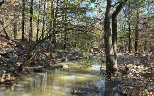 Poteau Mountain Recreational Property – Adjoining National Forest