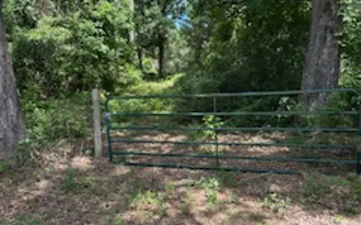Acreage Near Harleton Texas Ideal for Hunting and Recreation.