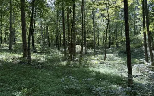 Building Lot Near Dale Hollow Lake