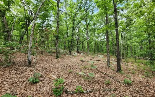 Winding Stair Mountain Recreational Property