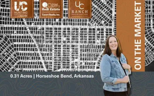 Land for sale in the Arkansas Ozarks