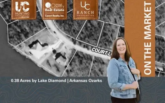 Lot for sale in Horseshoe Bend, AR across from Diamond Lake