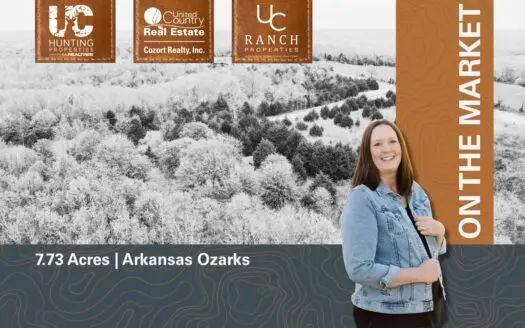 Acreage for sale in the Arkansas Ozarks