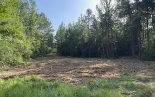 Small Hunting Tract FOR SALE in Amite County, MS