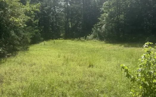 East Texas Hunting/Recreational Land For Sale