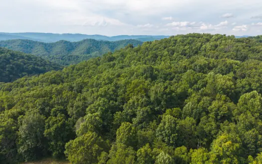 Where Freedom Grows Wild: Hawkins County Tennessee