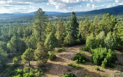 Northern New Mexico Mountain Property Near Chama NM
