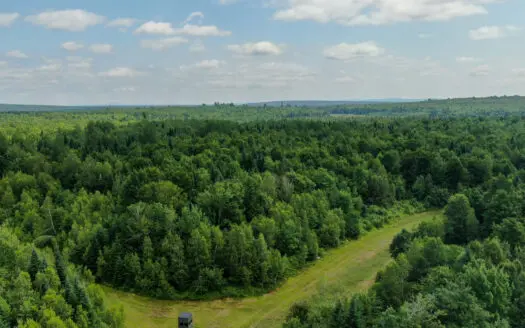 Maine Hunting and Recreational Timberland for Sale