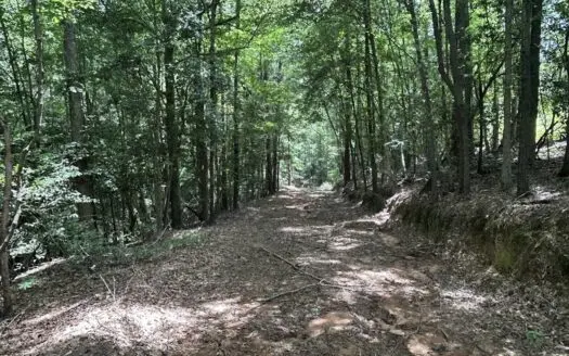 42 Acres in Autauga County – Secluded, Fenced, and Hunt-Ready!