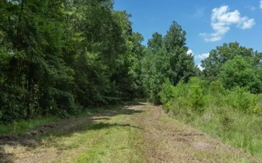 Lapine 216 Multi Use Recreational Timber – Ouachita Parish